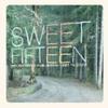 Sweet Fifteen: Rough Trade Publishing 1991-2006