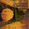 The Destruction Of Small Ideas