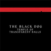 Temple Of Transparent Balls (Reissue)