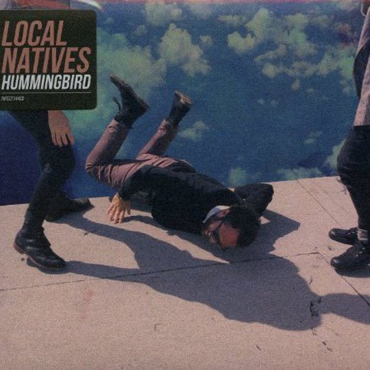 Album Review: Local Natives - Hummingbird / Releases / Releases // Drowned  In Sound
